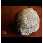 Geöltes Achat-Ei - geschnitten - Gewicht: 3600g