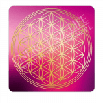 Untersetzer Blume des Lebens -Entwicklung-groß