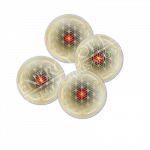 Untersetzer Lebensblume Neutralität - rund - klein