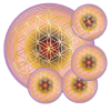 Untersetzer Blume des Lebens Herzens-Energie - rund - Set